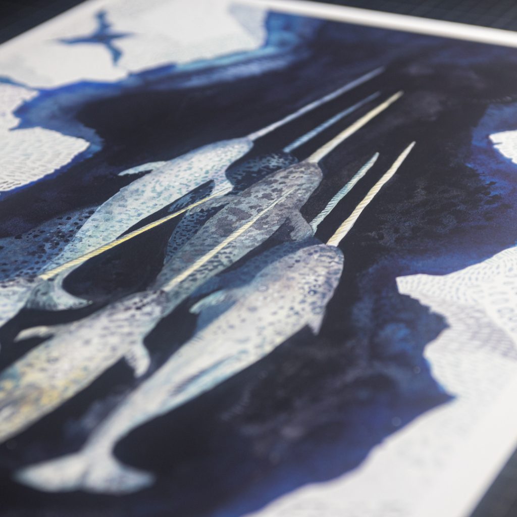 Giclée print para Emma Lopes - Narwhal em Hahnemühle Photo Rag 308